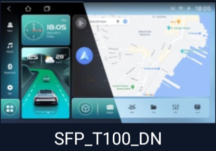SFP_T100_DN