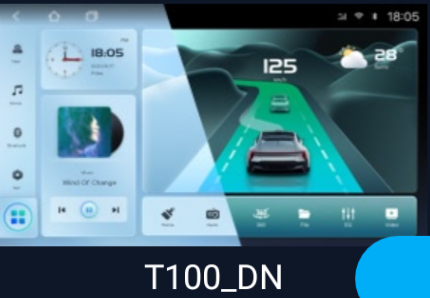 T100_DN