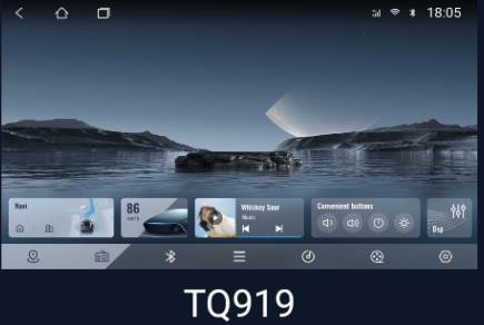 TQ919